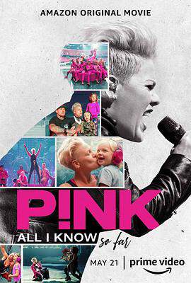 P！NK：我所知道的一切